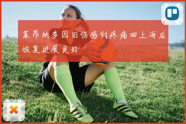 莱昂纳多因旧伤感到疼痛回上海后恢复进展良好